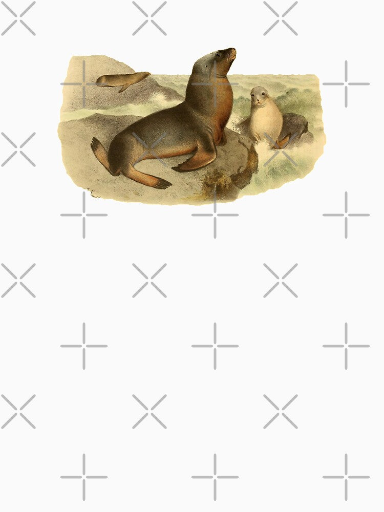 Scientific Illustration of Sea Lions by bookishneighbor T-Shirts, Hoodie, Sweatshirt | BlankRebels.com (Image 3)