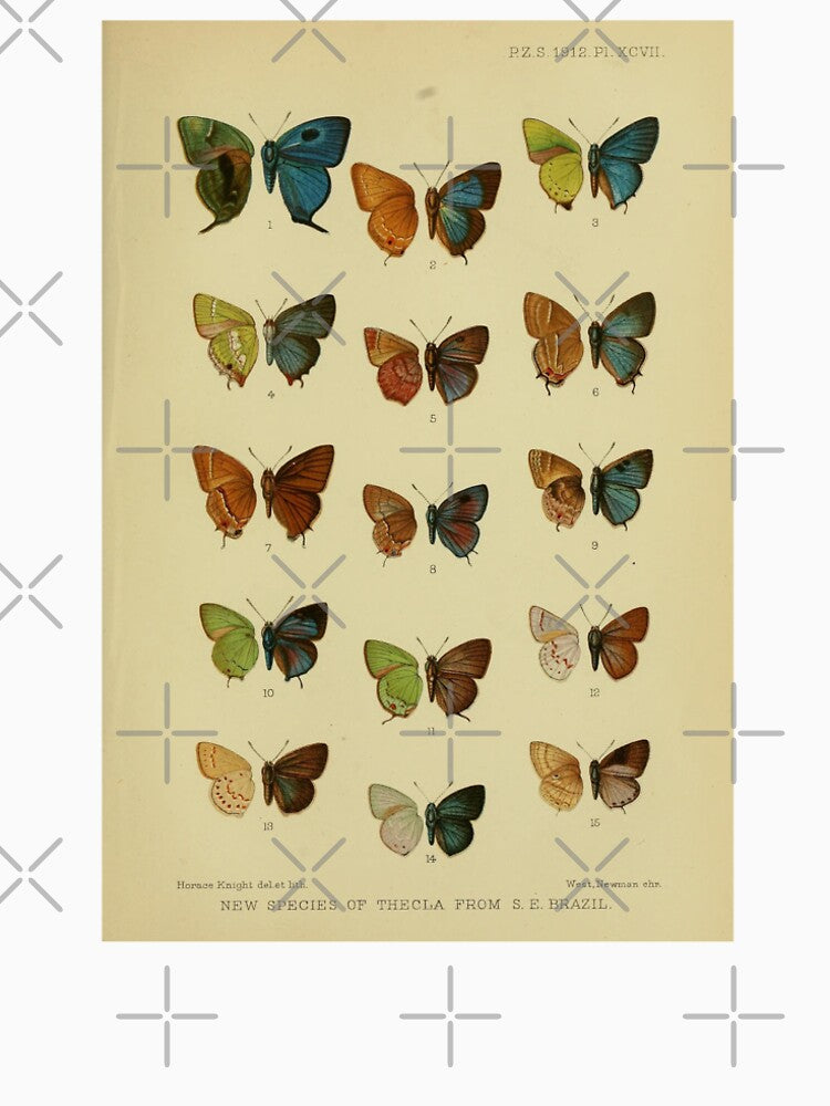 Butterflies Vintage Scientific Illustration by bookishneighbor T-Shirts, Hoodie, Sweatshirt | BlankRebels.com (Image 2)