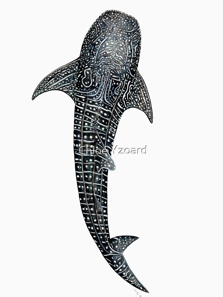 Whale shark for divers, shark lovers and fishermen by chloeyzoard T-Shirts, Hoodie, Sweatshirt | BlankRebels.com (Image 3)
