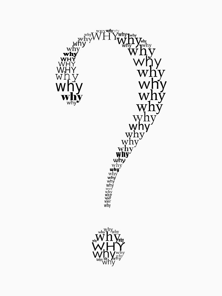Why by adiosmillet T-Shirts, Hoodie, Sweatshirt | BlankRebels.com (Image 3)