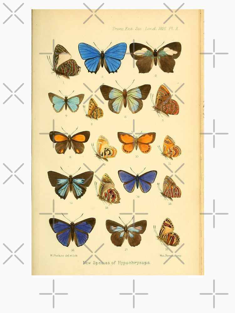 Butterflies Vintage Illustration by bookishneighbor T-Shirts, Hoodie, Sweatshirt | BlankRebels.com (Image 3)