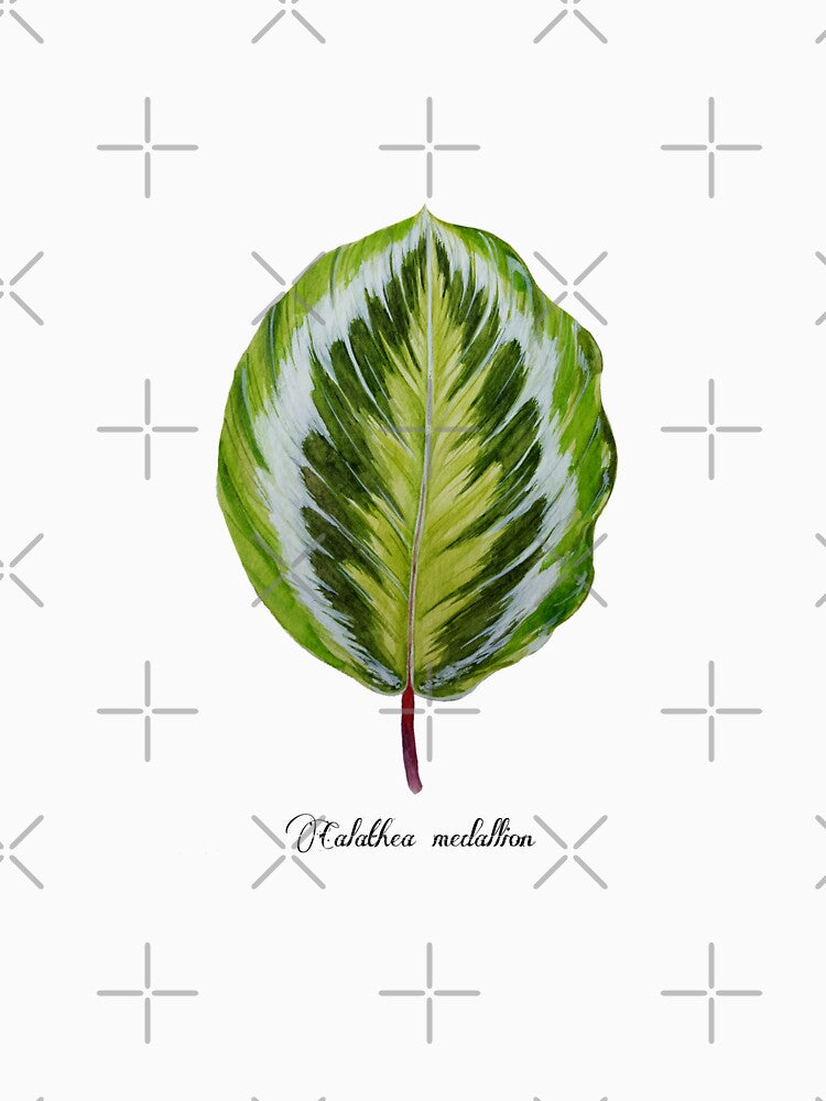 Calathea medallion by bluejayknits T-Shirts, Hoodie, Sweatshirt | BlankRebels.com (Image 3)