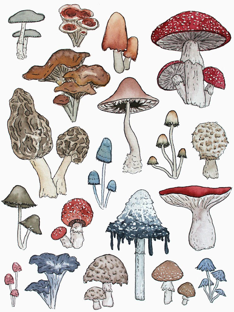 Make Room for the Mushrooms by SarahCAllen T-Shirts, Hoodie, Sweatshirt | BlankRebels.com (Image 3)