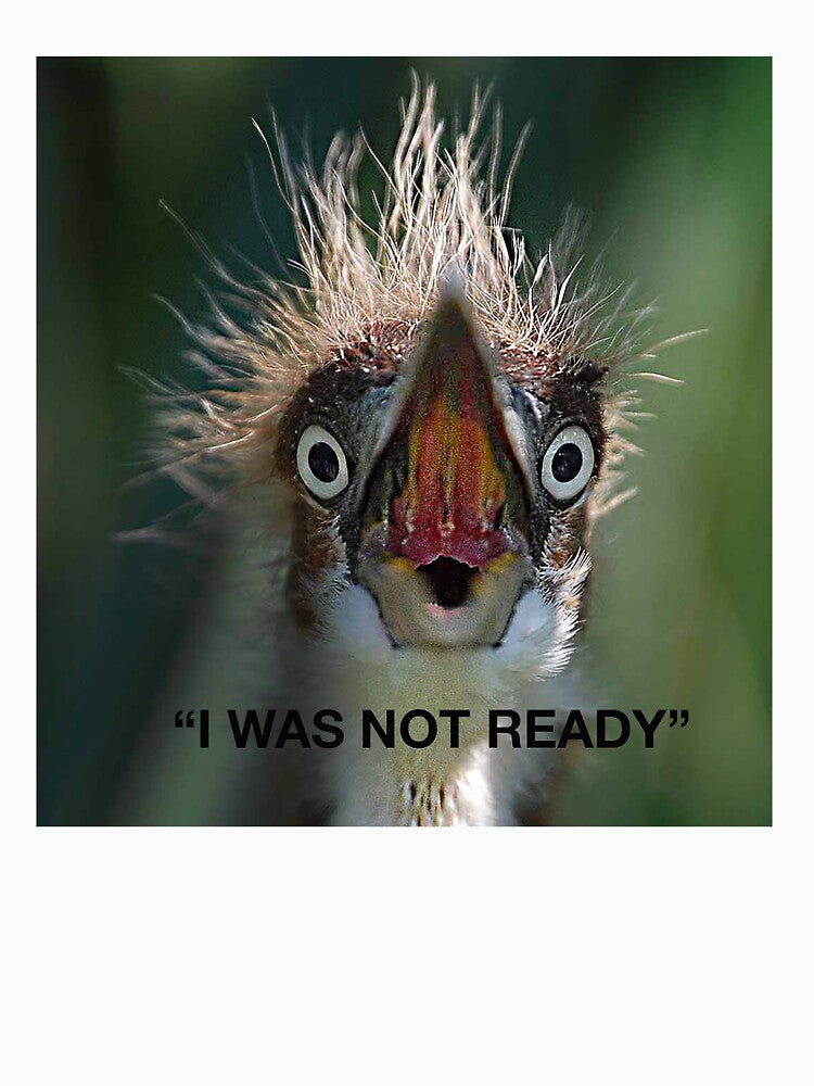 I WAS NOT READY by SKIP WILLITS FINE ART T-Shirts, Hoodie, Sweatshirt | BlankRebels.com (Image 3)