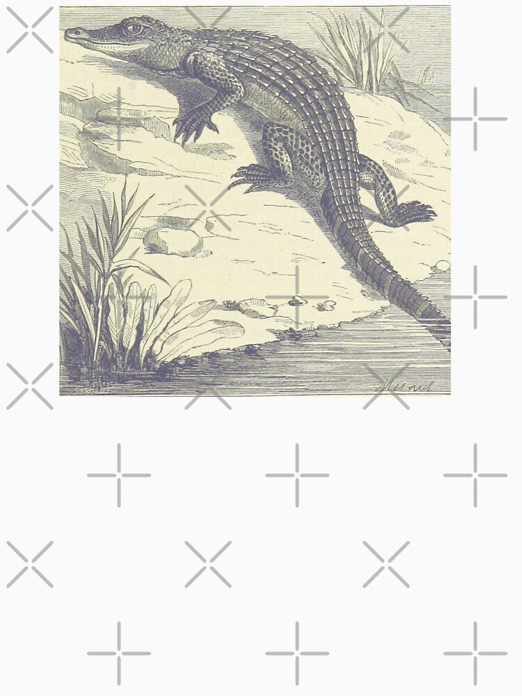 Mischievous Alligator Vintage Illustration by bookishneighbor T-Shirts, Hoodie, Sweatshirt | BlankRebels.com (Image 3)