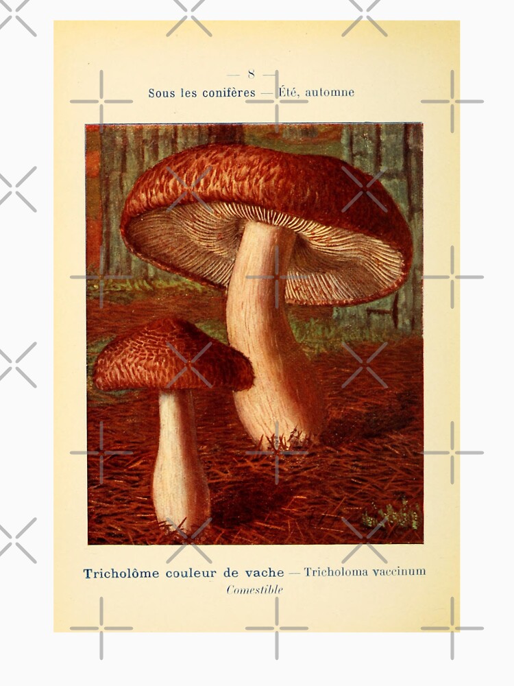 Vintage Illustration Red Mushrooms by bookishneighbor T-Shirts, Hoodie, Sweatshirt | BlankRebels.com (Image 3)