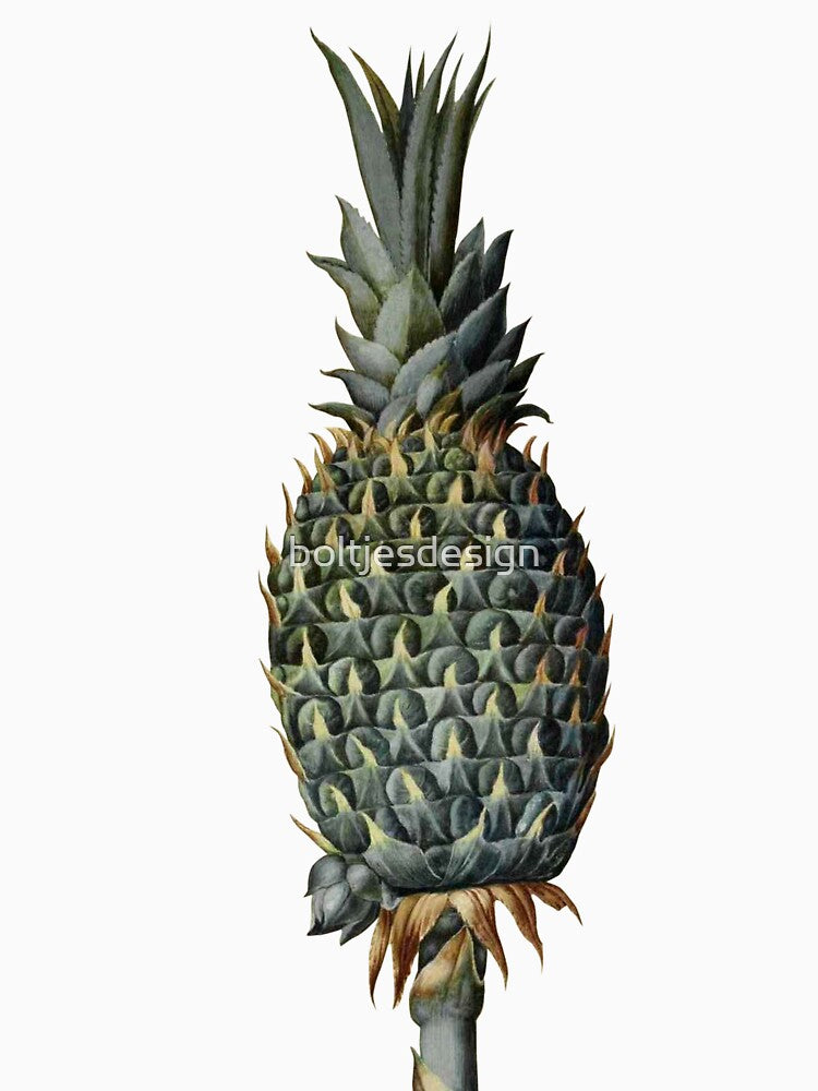 Pineapple by boltjesdesign T-Shirts, Hoodie, Sweatshirt | BlankRebels.com (Image 3)