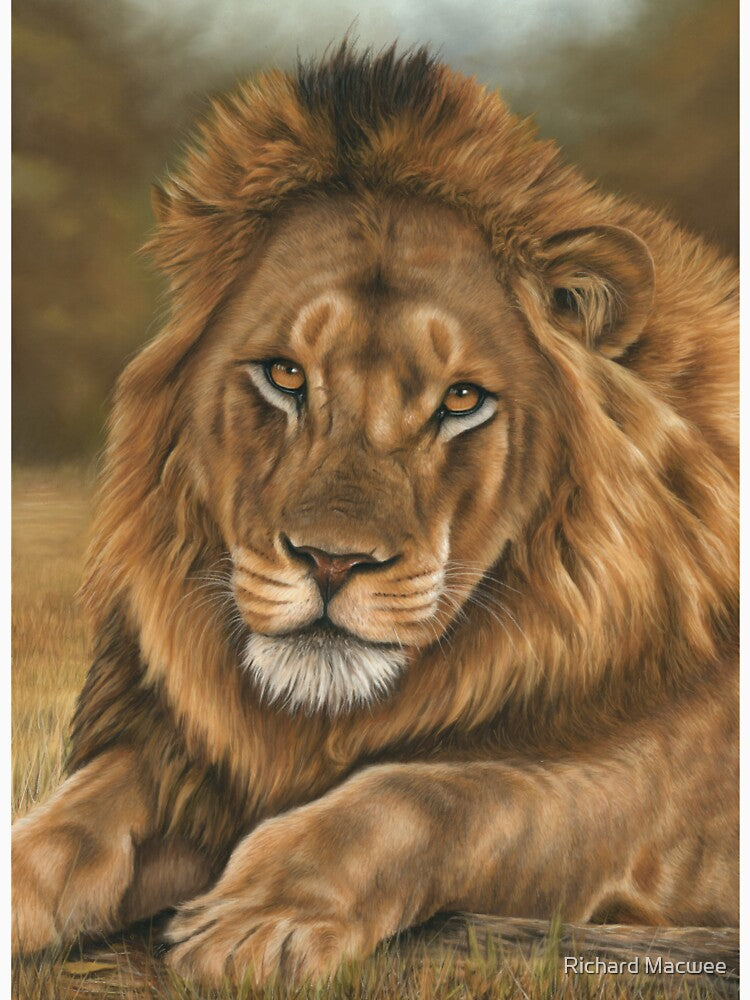 Lion by Richard Macwee T-Shirts, Hoodie, Sweatshirt | BlankRebels.com (Image 3)