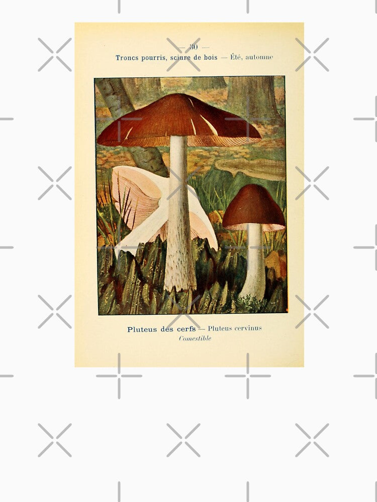 Vintage Illustration Brown and White Mushrooms by bookishneighbor T-Shirts, Hoodie, Sweatshirt | BlankRebels.com (Image 3)
