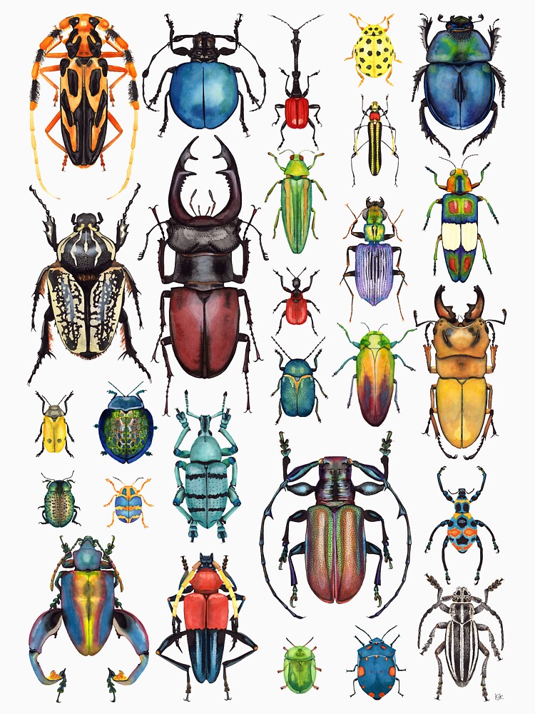 Beetle Collection by KellyJadeART T-Shirts, Hoodie, Sweatshirt | BlankRebels.com (Image 3)