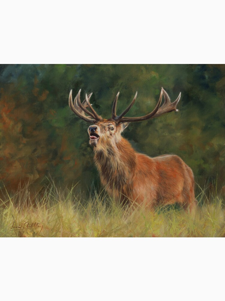 European Red Deer Stag by David Stribbling T-Shirts, Hoodie, Sweatshirt | BlankRebels.com (Image 2)
