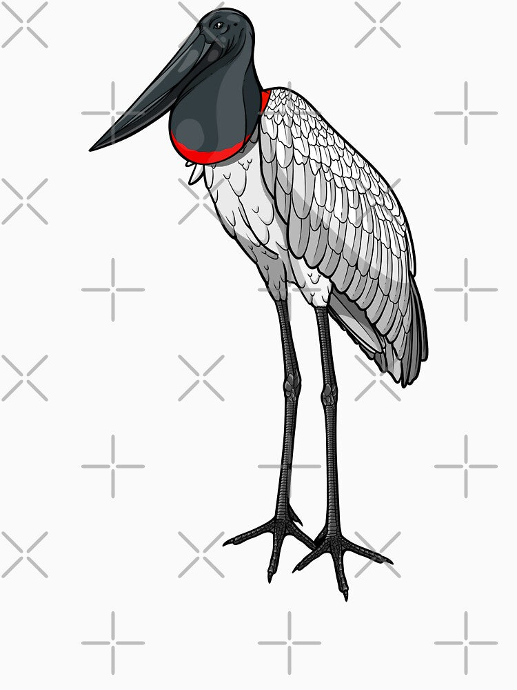 Jabiru by LucasKias
