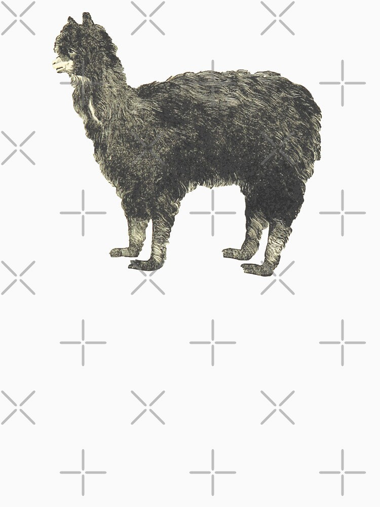 Vintage Alpaca Illustration by bookishneighbor T-Shirts, Hoodie, Sweatshirt | BlankRebels.com (Image 3)