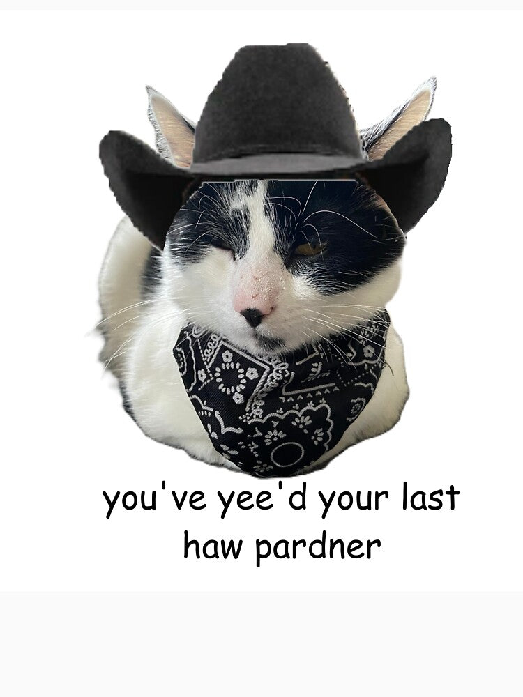you've yee'd your last haw cowboy cat by scrapbookcats T-Shirts, Hoodie, Sweatshirt | BlankRebels.com (Image 3)