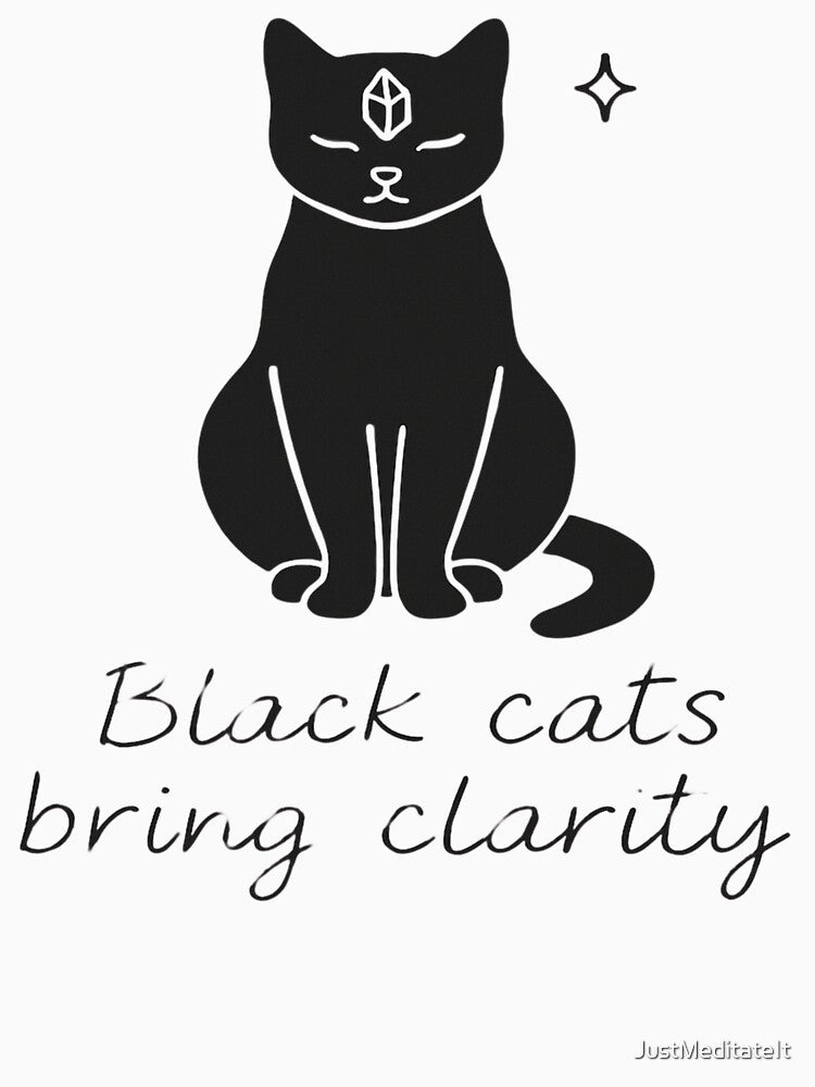 Black Cats Bring Clarity – Cozy Hoodie for Cat Lovers – Humorous Introvert Design by JustMeditateIt