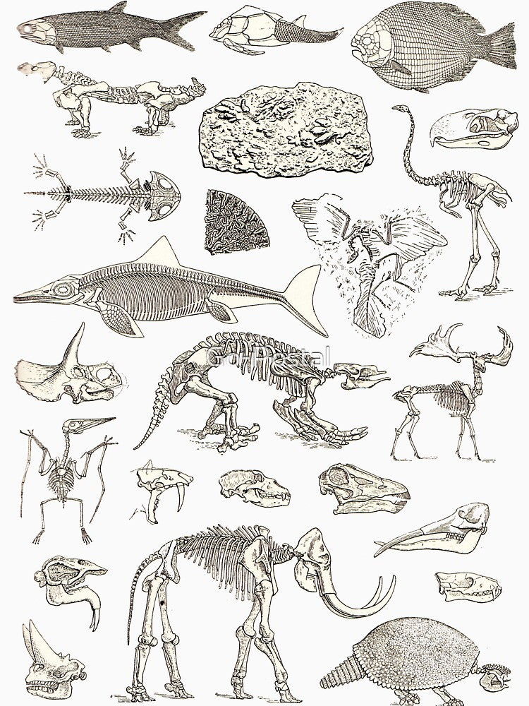 Paleontology Illustration by Go-Postal T-Shirts, Hoodie, Sweatshirt | BlankRebels.com (Image 3)