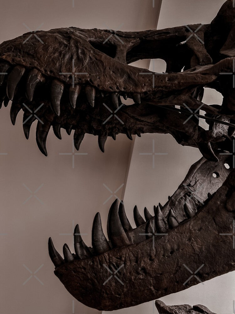 T Rex T-Shirts, Hoodie, Sweatshirt