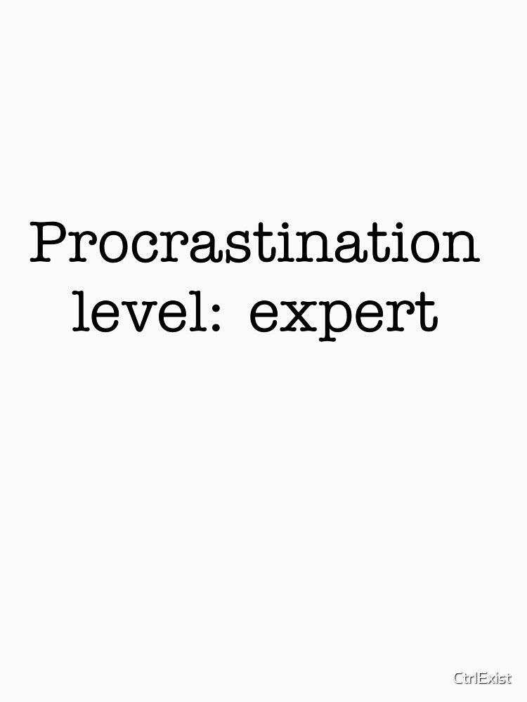 Lvl.expert by CtrlExist T-Shirts, Hoodie, Sweatshirt | BlankRebels.com (Image 3)