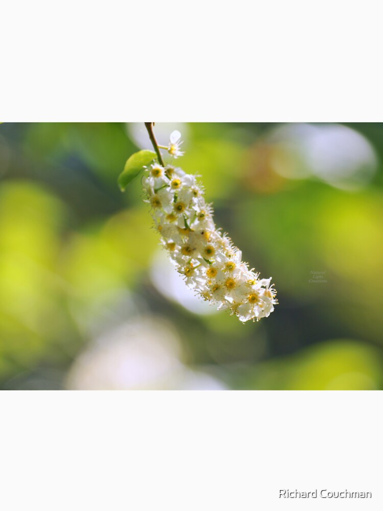 " Tiny Florets " by Richard Couchman