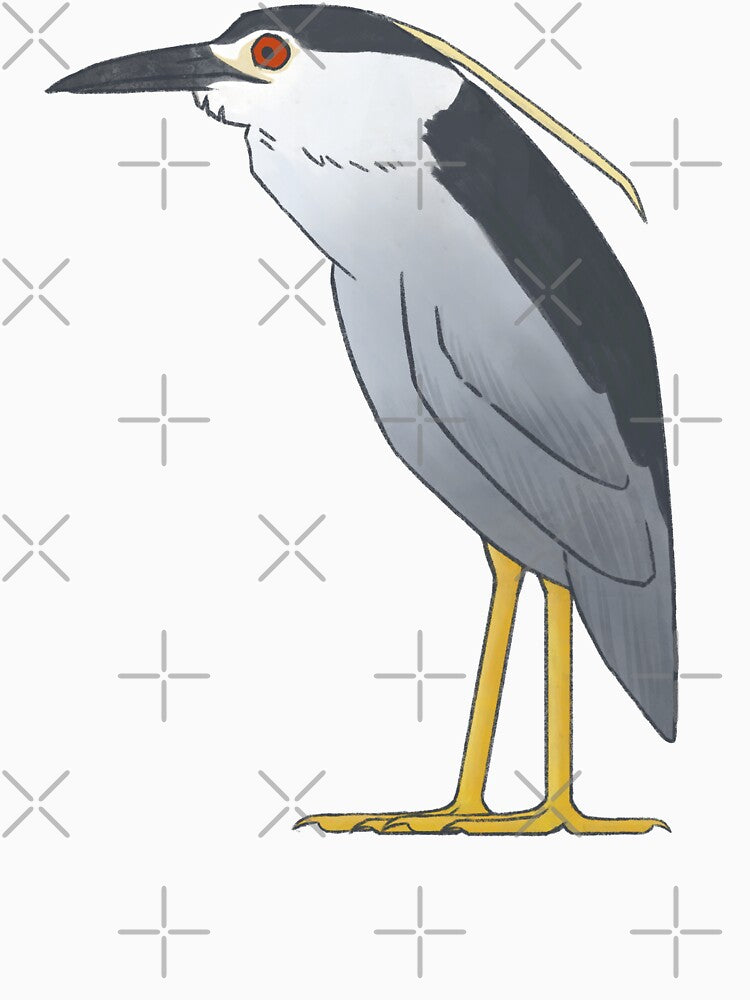 Black-Crowned Night-Heron by Steel Chariot