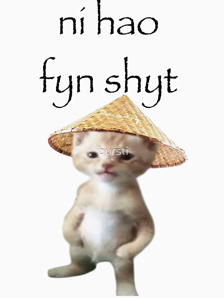 ni hao fyn shyt Cat | Tiktok meme by bursti T-Shirts, Hoodie, Sweatshirt | BlankRebels.com (Image 3)