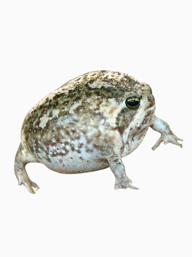 Phat Frog T-Shirts, Hoodie, Sweatshirt