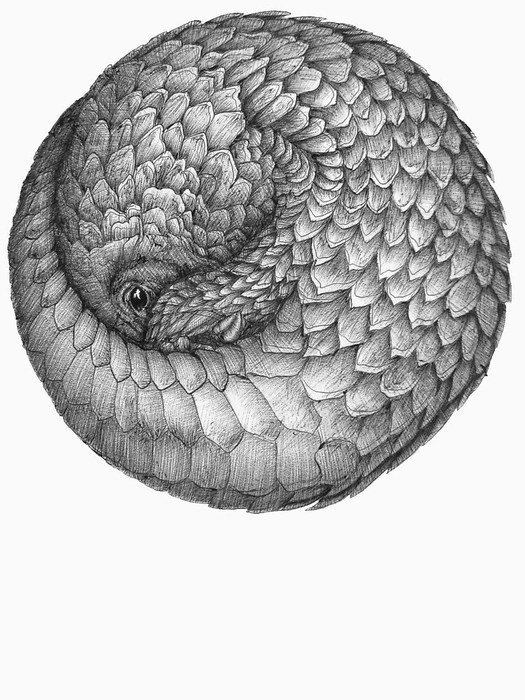 Infinite Pangolin T-Shirts, Hoodie, Sweatshirt