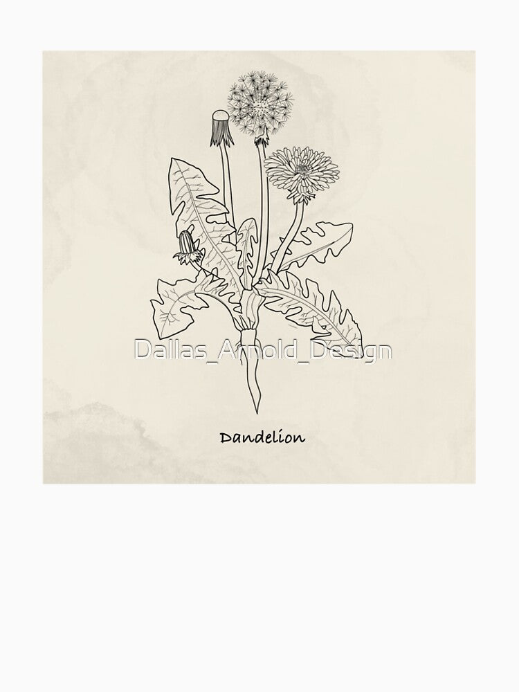 Botanical illustration: Dandelion by Dallas_Arnold_Design T-Shirts, Hoodie, Sweatshirt | BlankRebels.com (Image 2)