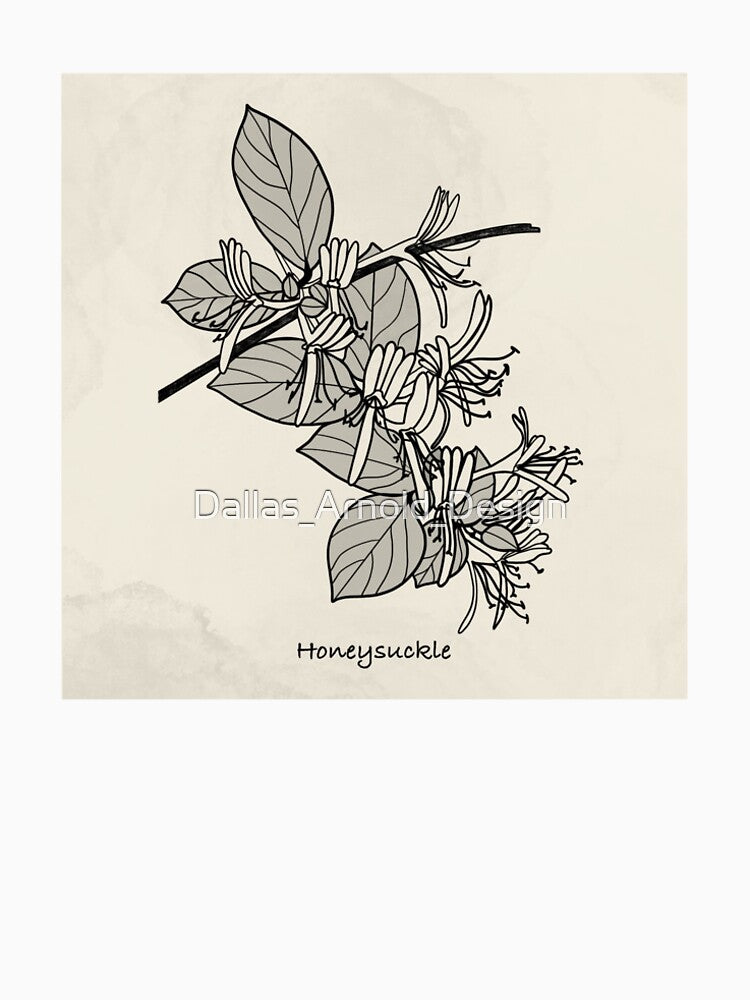 Botanical illustration: Honeysuckle by Dallas_Arnold_Design T-Shirts, Hoodie, Sweatshirt | BlankRebels.com (Image 2)