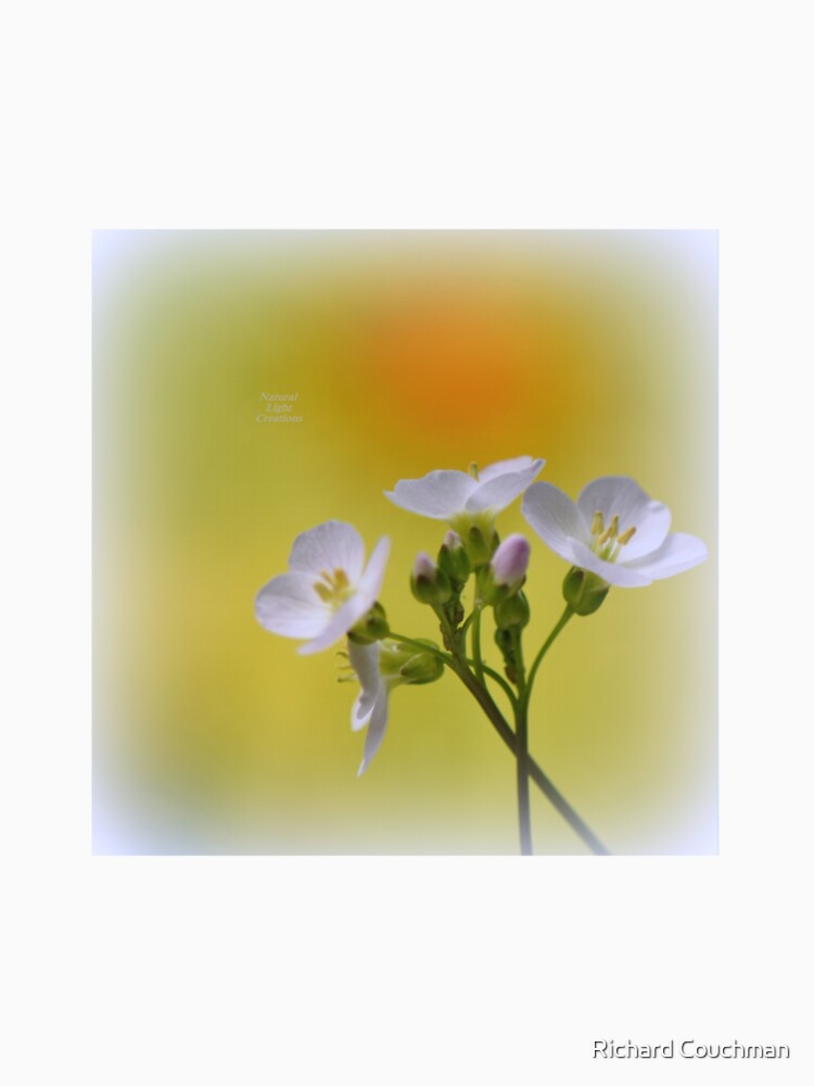 " Dandelions & Milkmaids " by Richard Couchman