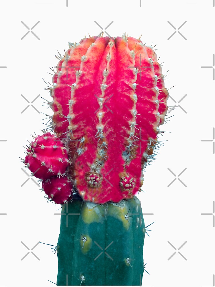 My Cactus Friend by Manitarka T-Shirts, Hoodie, Sweatshirt | BlankRebels.com (Image 3)