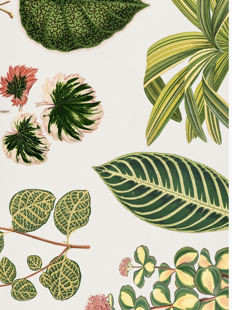 Green Botanical Leaf Painting by newburyboutique T-Shirts, Hoodie, Sweatshirt | BlankRebels.com (Image 3)
