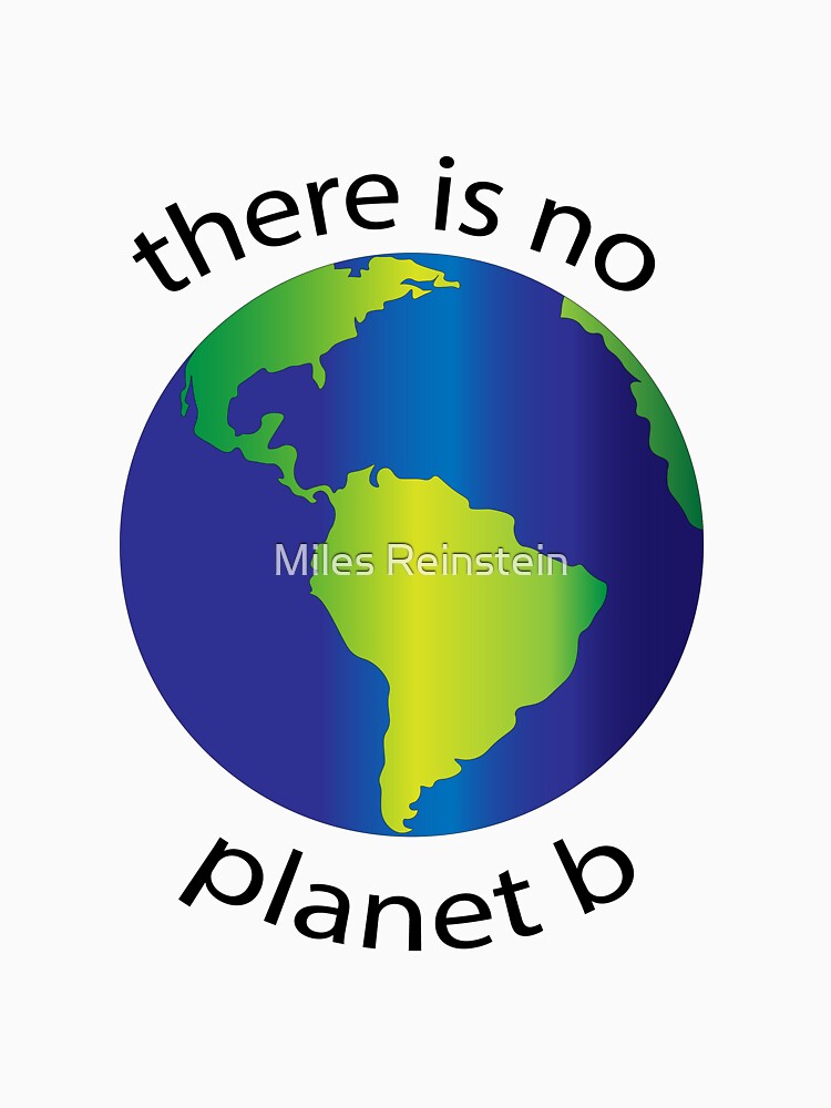 There is no Planet B by Miles Reinstein T-Shirts, Hoodie, Sweatshirt | BlankRebels.com (Image 3)