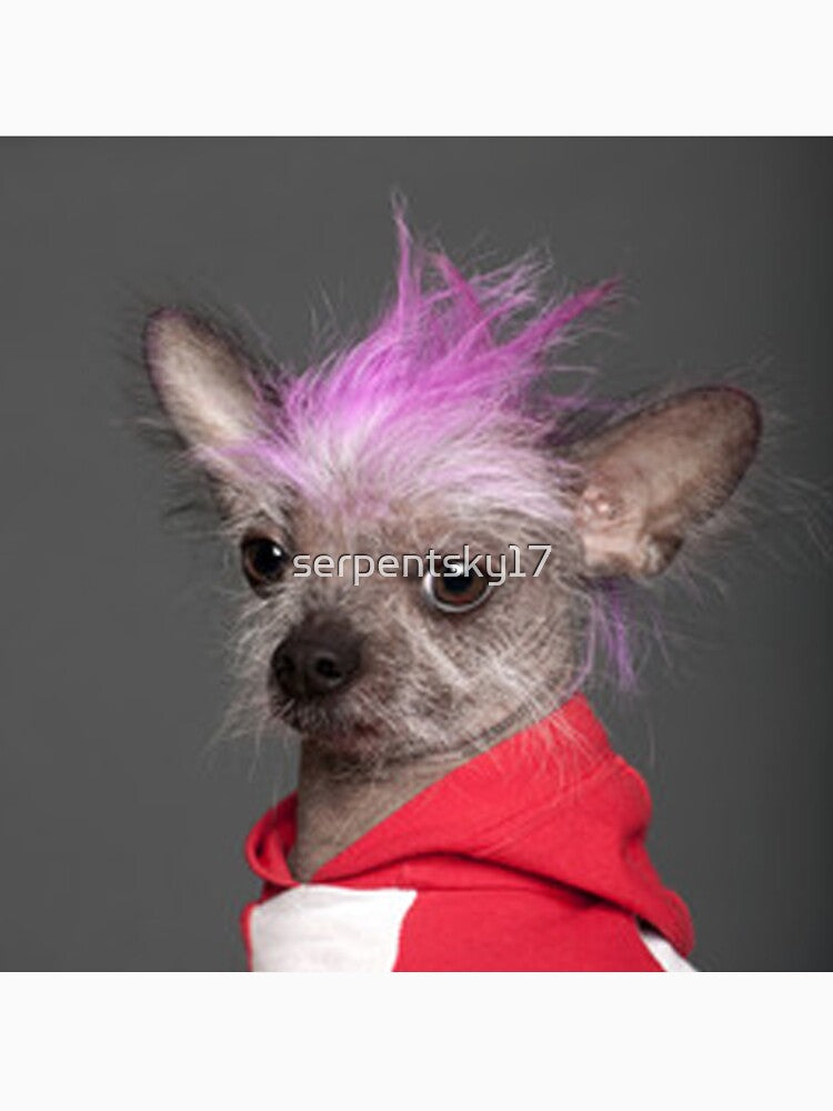 The Punkest Dog by SerpentSkyArts