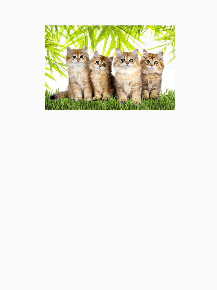 Cats T-Shirts, Hoodie, Sweatshirt