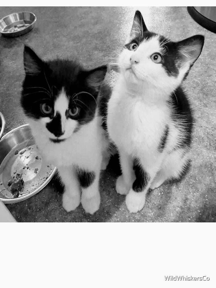 please can i have some/it wasnt me!! by WildWhiskersCo T-Shirts, Hoodie, Sweatshirt | BlankRebels.com (Image 3)