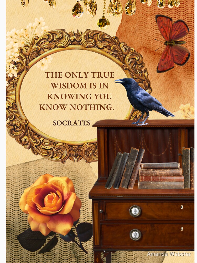 The Only True Wisdom by Amanda Webster T-Shirts, Hoodie, Sweatshirt | BlankRebels.com (Image 3)