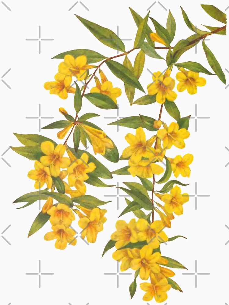 Yellow Wildflowers Botanical Print by Veriepear T-Shirts, Hoodie, Sweatshirt | BlankRebels.com (Image 3)
