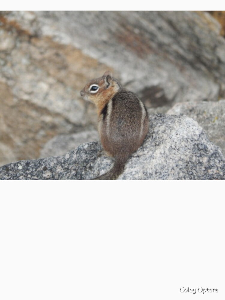 Golden-mantled Ground Squirrel by Coley Optera T-Shirts, Hoodie, Sweatshirt | BlankRebels.com (Image 2)