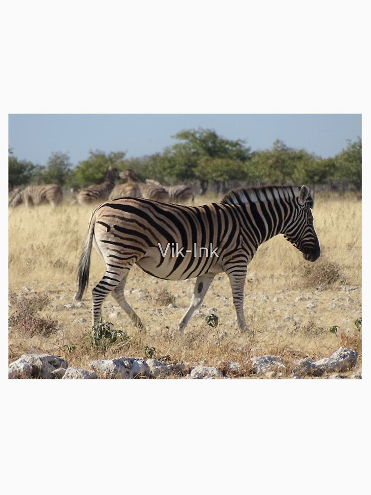 Zebra - Etosha, Nambia wildlife photography by Vik-Ink T-Shirts, Hoodie, Sweatshirt | BlankRebels.com (Image 2)