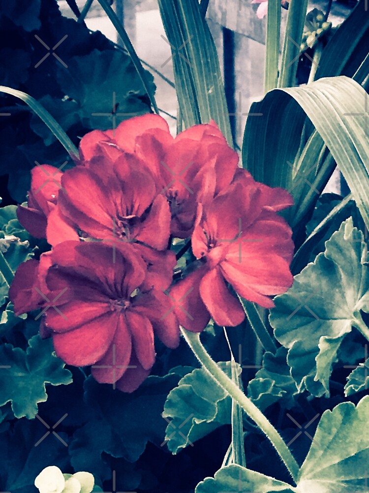 aesthetic ethereal vintage photography of red flower green leaves by sielexis T-Shirts, Hoodie, Sweatshirt (Image 3)