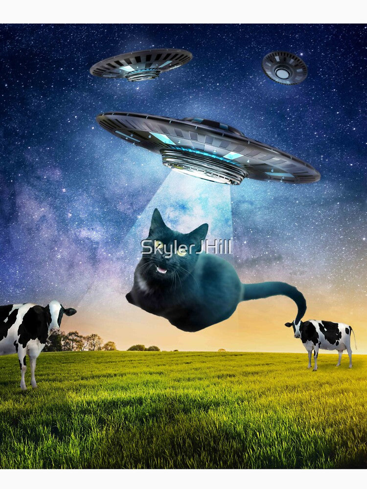 Black Cat UFO Abduction Funny T-Shirts, Hoodie, Sweatshirt