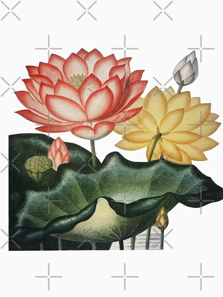 vintage lotus waterlilies by ZinZoe T-Shirts, Hoodie, Sweatshirt | BlankRebels.com (Image 3)