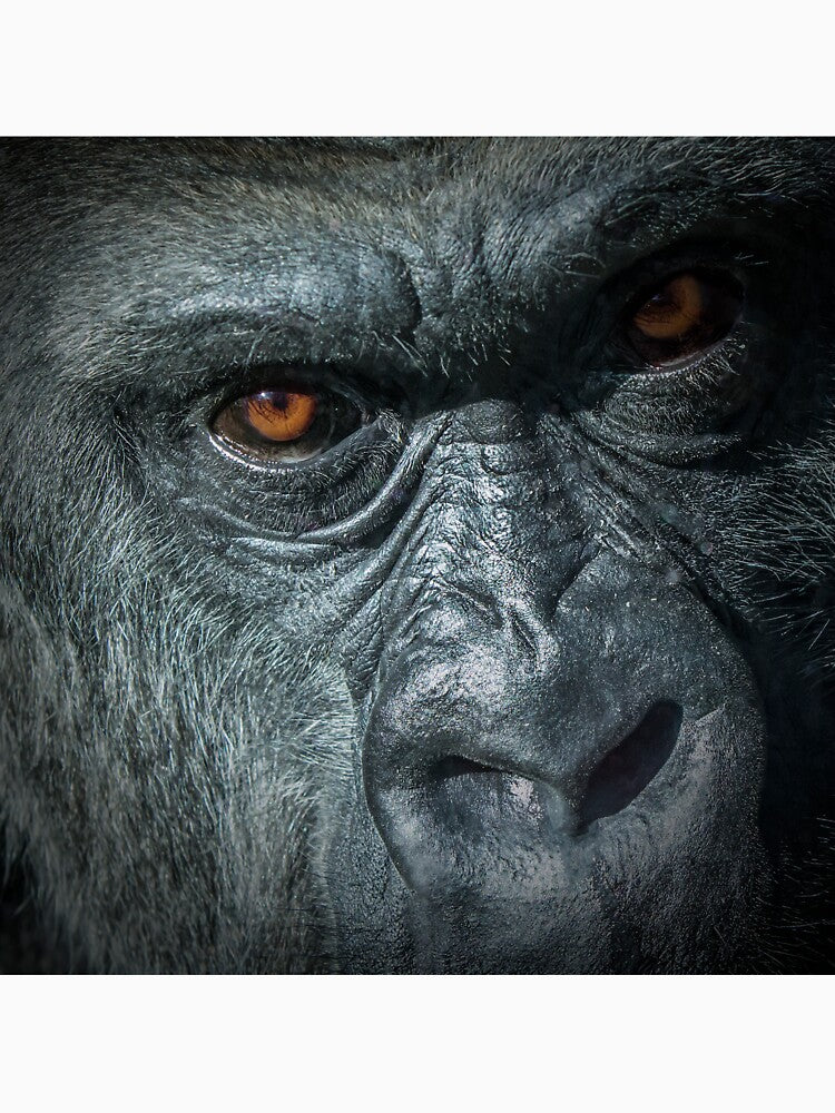 Gorilla by Conservation Art Emporium T-Shirts, Hoodie, Sweatshirt | BlankRebels.com (Image 3)