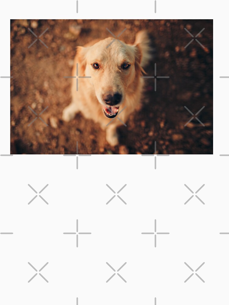 Cute Golden Retriever Photo by TheAnimalZ00 T-Shirts, Hoodie, Sweatshirt | BlankRebels.com (Image 3)
