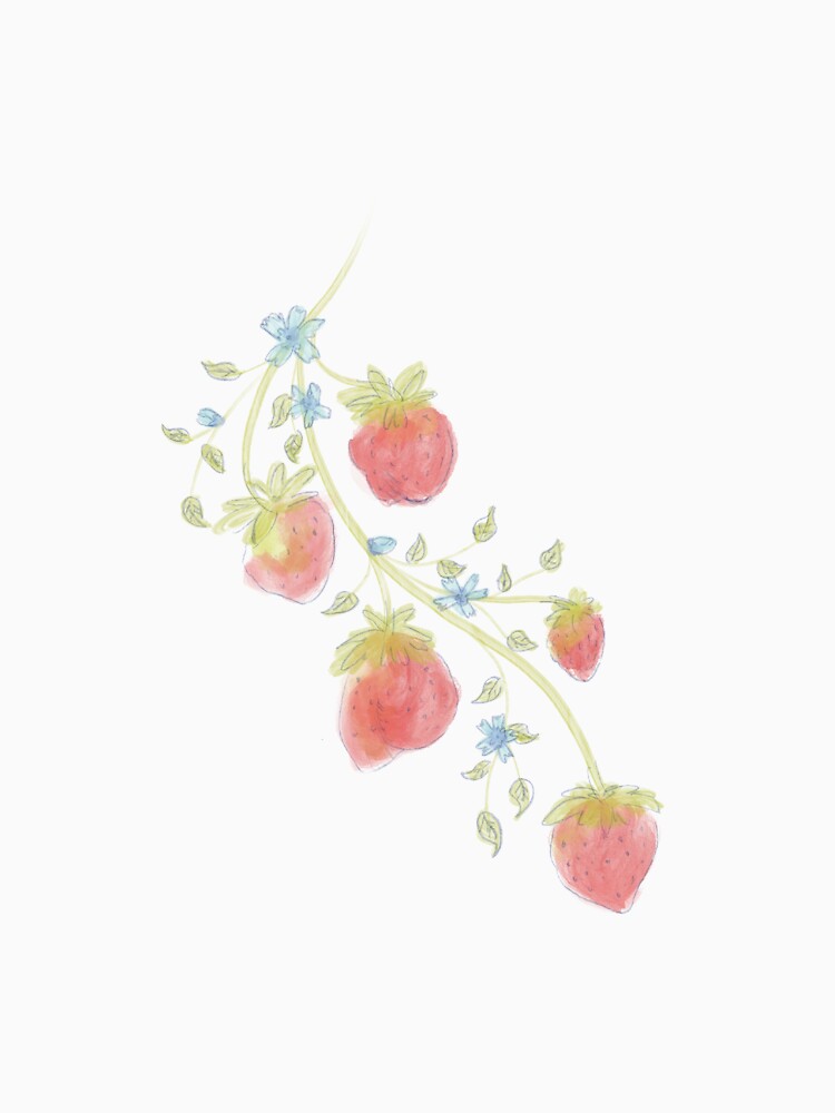 Strawberries by faith-gardner