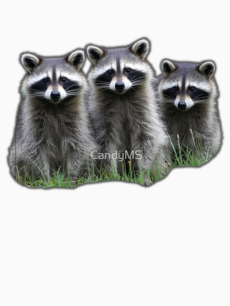 3 Raccoons by CandyMS T-Shirts, Hoodie, Sweatshirt | BlankRebels.com (Image 3)