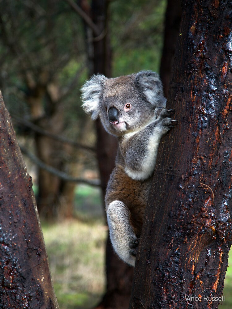 The Original Tree-Hugger by Vince Russell T-Shirts, Hoodie, Sweatshirt | BlankRebels.com (Image 3)