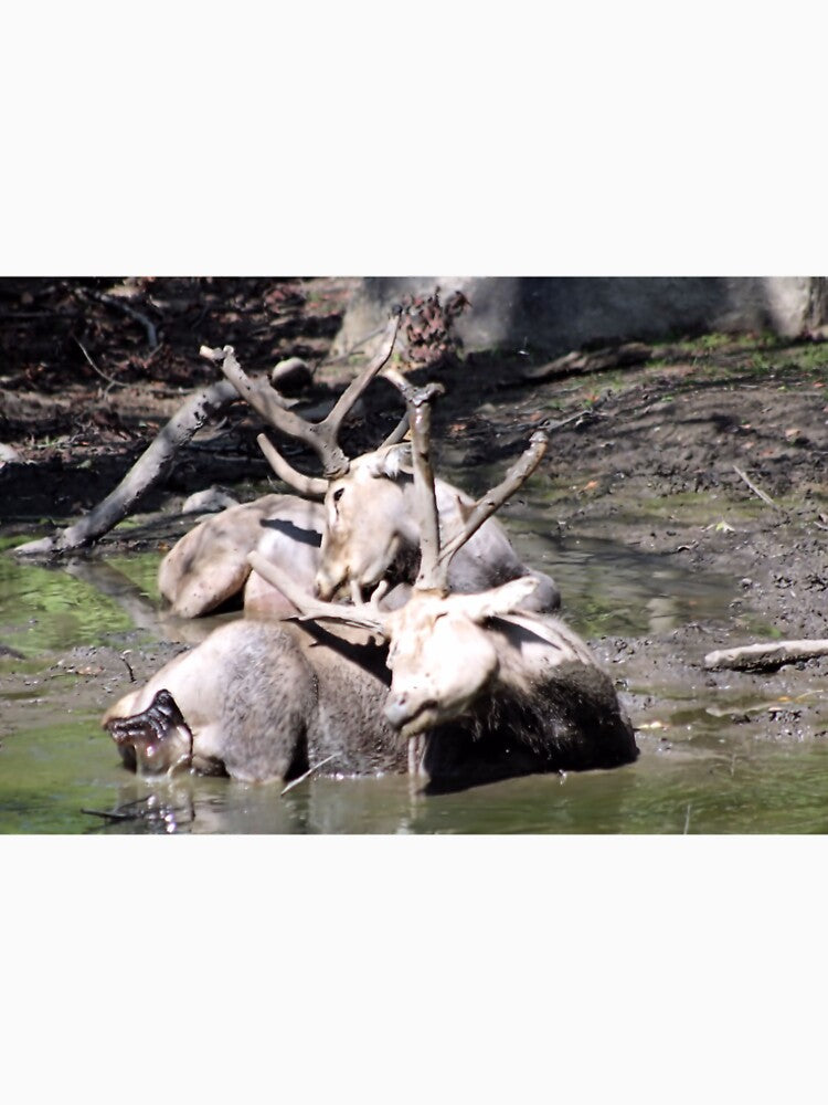 MUD BATH by BOLLA67 T-Shirts, Hoodie, Sweatshirt | BlankRebels.com (Image 2)