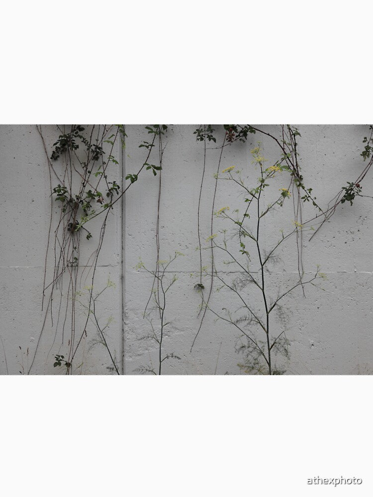 Wall with weeds by athexphoto